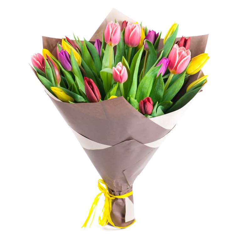 assorted tulips